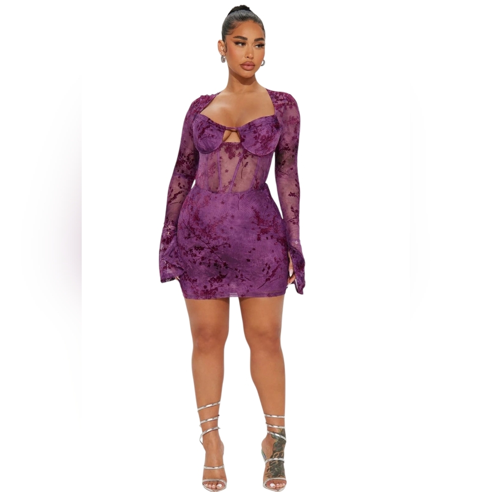 Fashion Nova Sheer Velvet Floral Corset Mini Dress